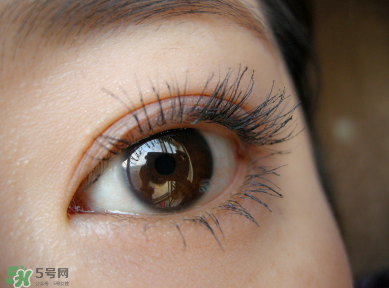 KATE睫毛打底膏怎么用？KATE睫毛打底膏好用嗎？