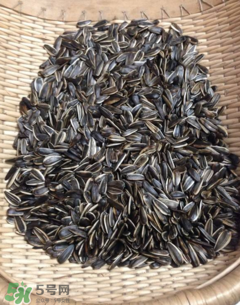 葵花籽是果實還是種子？葵花籽是堅果嗎？