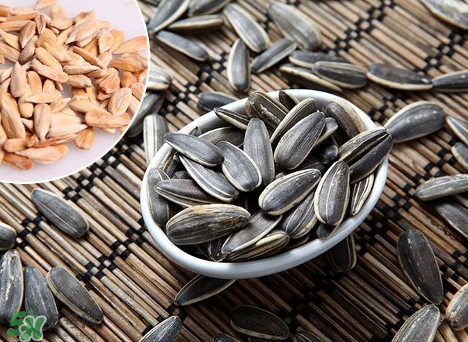 葵花籽是果實還是種子？葵花籽是堅果嗎？