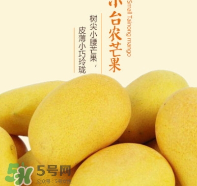 臺農(nóng)芒果多少錢一斤？臺農(nóng)芒果為什么叫臺農(nóng)芒果