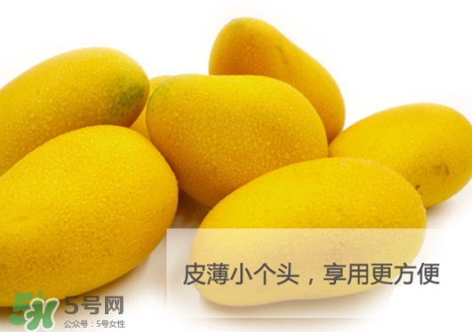 臺農(nóng)芒果多少錢一斤？臺農(nóng)芒果為什么叫臺農(nóng)芒果