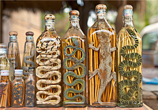 毒蛇泡在酒里為什么不死？毒蛇泡酒不死是什么原因？