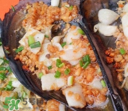 帶子是什么海鮮？帶子是什么東西