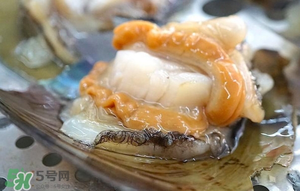 帶子哪里不能吃？帶子有什么營養(yǎng)價值