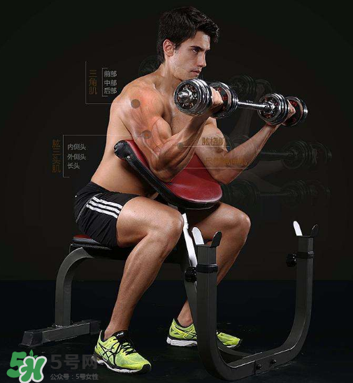 牧師凳彎舉怎么練？牧師凳杠鈴彎舉訓(xùn)練要點(diǎn)