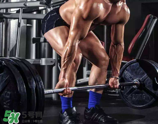 硬拉鍛煉哪些肌肉？硬拉有什么好處？
