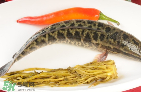 黑魚和草魚哪個好吃？黑魚不適合什么人吃