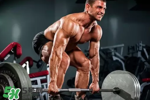 硬拉可以天天練嗎？硬拉可以每天做嗎？