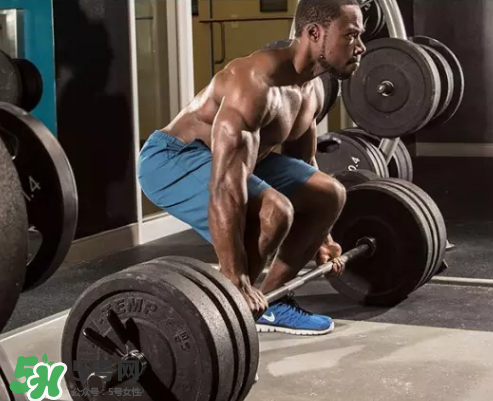 硬拉可以天天練嗎？硬拉可以每天做嗎？