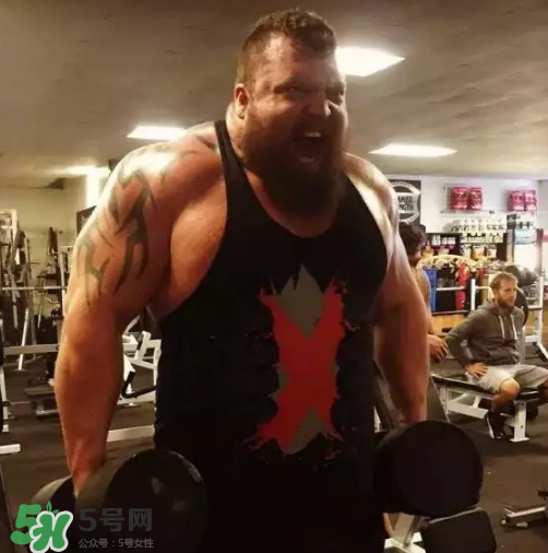 硬拉要放地上嗎？硬拉要觸地嗎？