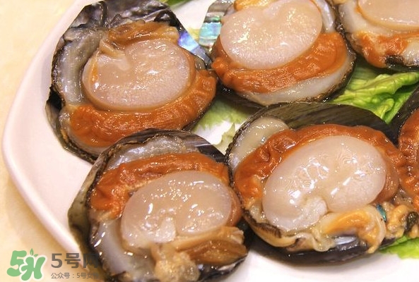 帶子是什么海鮮？帶子是什么東西