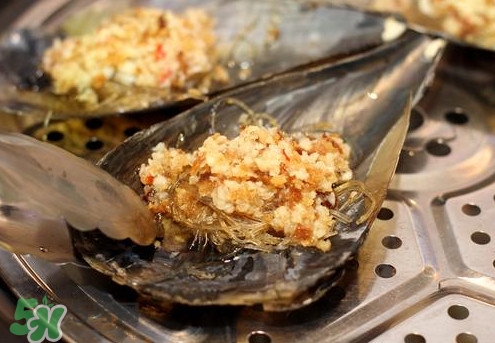 帶子哪里不能吃？帶子有什么營養(yǎng)價值