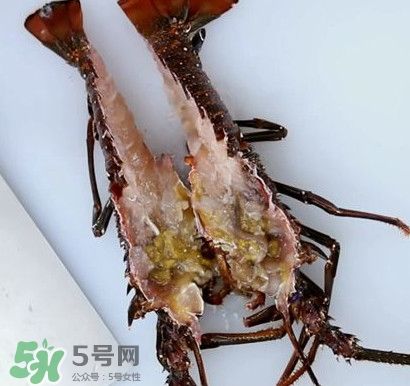 波士頓龍蝦怎么去蝦線？波士頓龍蝦怎么清洗