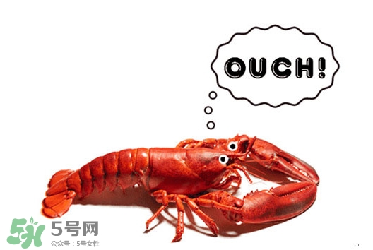 波士頓龍蝦有什么簡(jiǎn)單好吃的做法？波士頓龍蝦要怎么殺