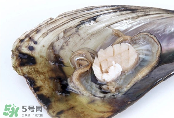 帶子是扇貝嗎？帶子和扇貝哪個(gè)好吃