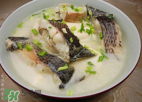 黑魚湯是發(fā)物嗎？黑魚湯可以放香菇嗎