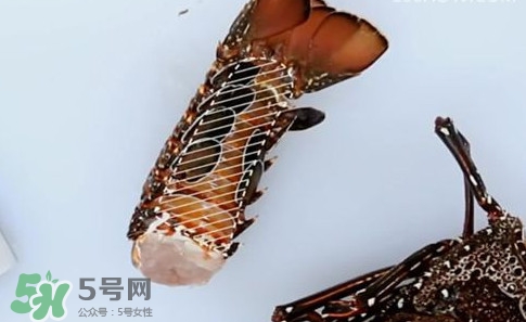 波士頓龍蝦產(chǎn)自波士頓嗎？波士頓龍蝦是哪里的