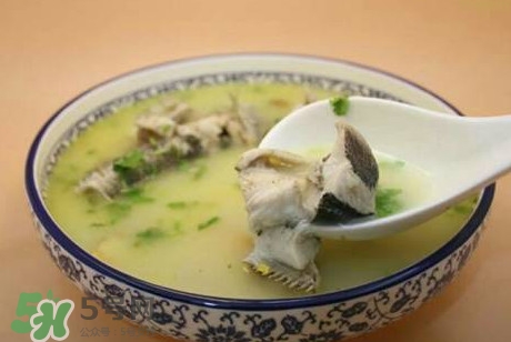 黑魚湯下奶嗎？黑魚湯是下奶還是回奶