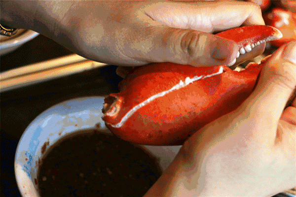 波士頓龍蝦有多大？波士頓龍蝦怎樣去殼