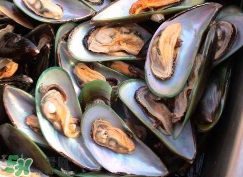 帶子哪里不能吃？帶子有什么營養(yǎng)價值