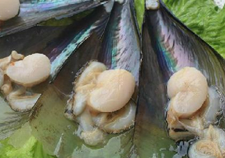 帶子哪里不能吃？帶子有什么營養(yǎng)價(jià)值