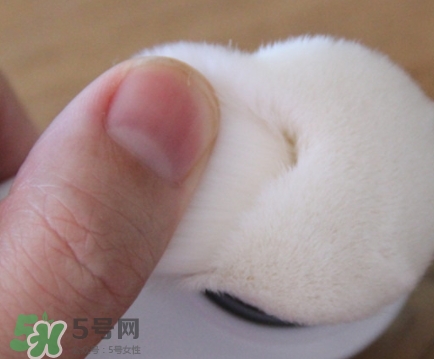 neogen妮珍面膜怎么樣？冷門性價比高的面膜