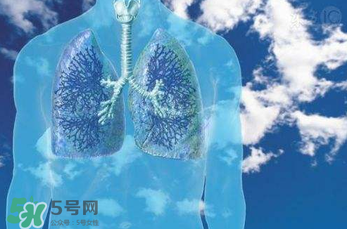 秋季如何護肺？秋季護肺小妙招