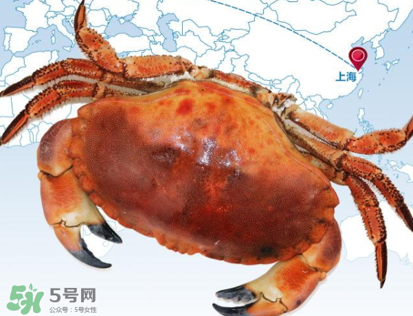 面包蟹的營養(yǎng)價(jià)值 面包蟹的產(chǎn)地
