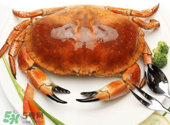 面包蟹的營養(yǎng)價(jià)值 面包蟹的產(chǎn)地