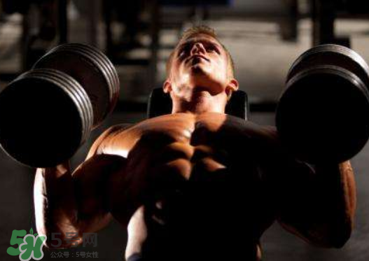 臥推用杠鈴還是啞鈴好？杠鈴臥推和啞鈴臥推的區(qū)別