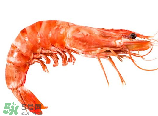 明蝦是海蝦還是河蝦？明蝦是什么蝦？