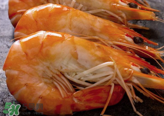 明蝦是海蝦還是河蝦？明蝦是什么蝦？