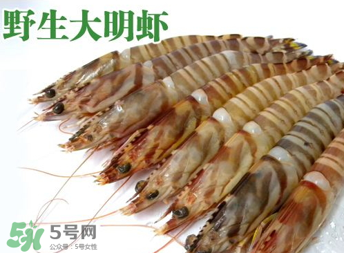 明蝦的營養(yǎng)價(jià)值 吃明蝦的好處