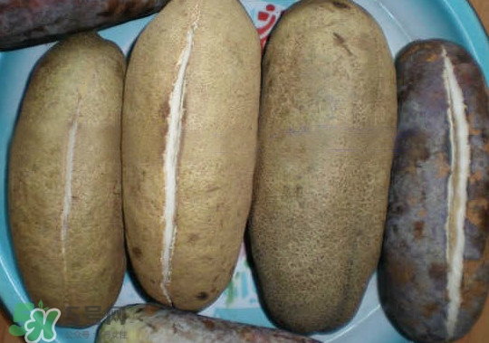 八月瓜能吃嗎？八月瓜到底有什么價值？