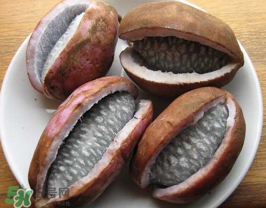 八月瓜的籽能吃嗎？八月瓜的籽可以種嗎