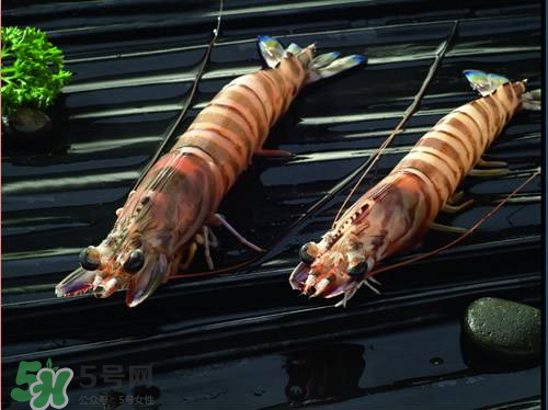 草蝦的營(yíng)養(yǎng)價(jià)值 吃草蝦的好處 草蝦的營(yíng)養(yǎng)價(jià)值 吃草蝦的好處