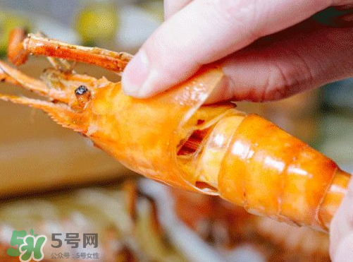 大頭蝦怎么做好吃？大頭蝦怎么處理？