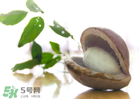 八月瓜的皮可以吃嗎？八月瓜的皮有什么功效