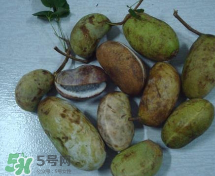 野香蕉孕婦能吃嗎？野香蕉好吃嗎？