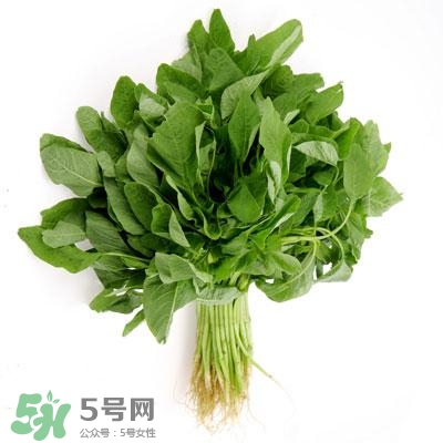 寶寶輔食可以吃哪些蔬菜？寶寶吃蔬菜泥的最佳時(shí)間