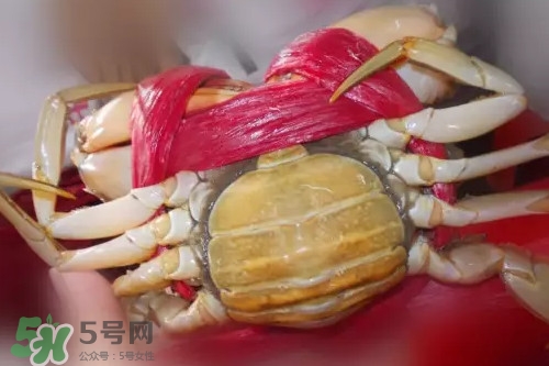 黃油蟹放冰箱能放多久？黃油蟹怎么挑選