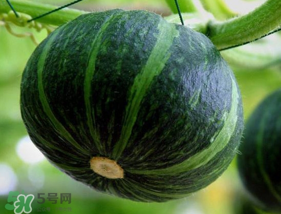 貝貝南瓜蒸多久能吃？貝貝南瓜和普通南瓜有什么區(qū)別