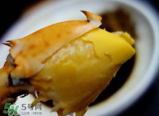 黃油蟹是什么蟹？黃油蟹多少錢一只