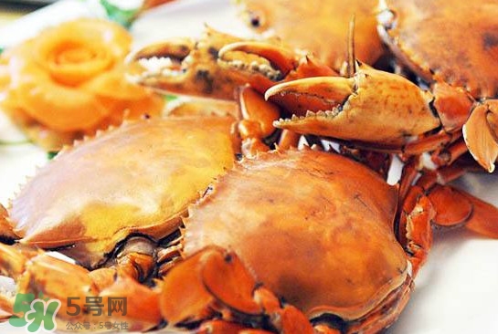 黃油蟹怎么處理？青蟹與黃油蟹有什么區(qū)別