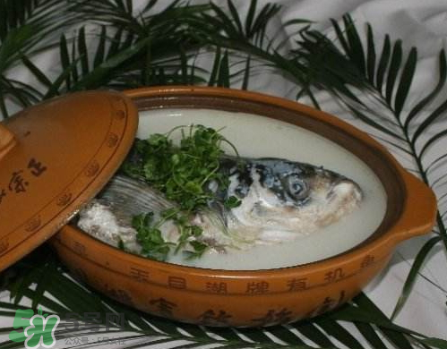 鰱魚頭湯孕婦可以吃嗎？鰱魚頭湯的功效與作用