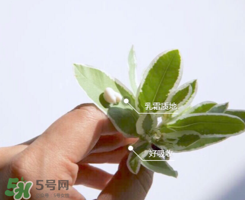 城野醫(yī)生377有副作用嗎？城野醫(yī)生377用了臉癢是什么原因？