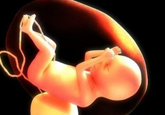 臍帶血有必要保存嗎？臍帶血有什么用？