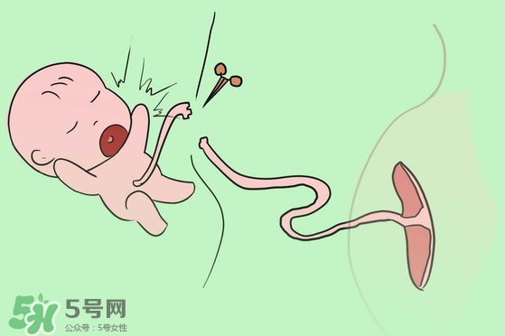 寶寶臍帶什么時候脫落？寶寶臍帶脫落后怎么護理？