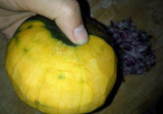 貝貝南瓜什么時候種植？貝貝南瓜什么時候上市