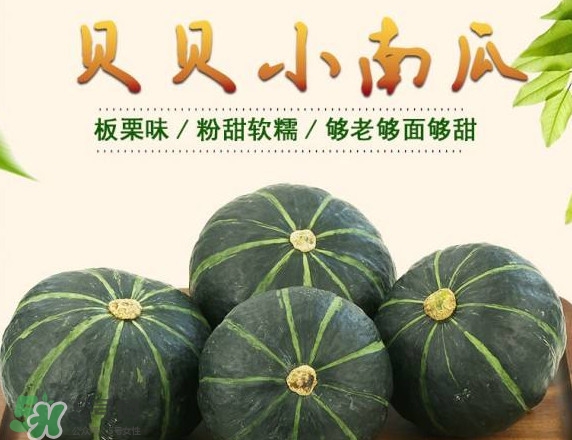 貝貝南瓜蒸多久能吃？貝貝南瓜和普通南瓜有什么區(qū)別